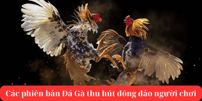 Các phiên bản đá gà cực kỳ phong phú và ấn tượng tại N666