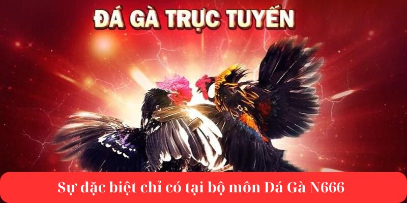 Sự đặc biệt về trò chơi đá gà chỉ có tại sân chơi N666