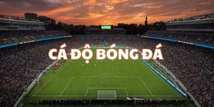 cá độ bóng đá n666