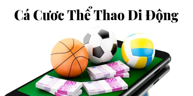 Người chơi có thể dễ dàng cá độ thể thao cùng nhà cái N666