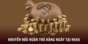 Hoàn Trả Hàng Ngày N666