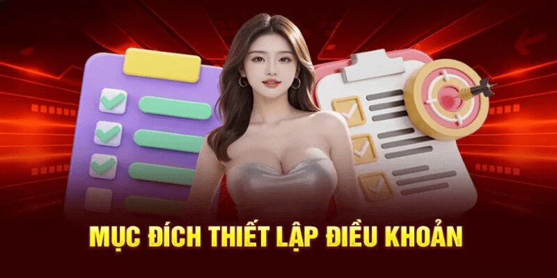 Lý do cần thiết lập điều khoản và điều kiện tại N666