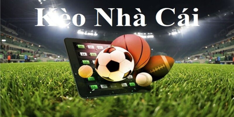 Các loại kèo cược của nhà cái N666