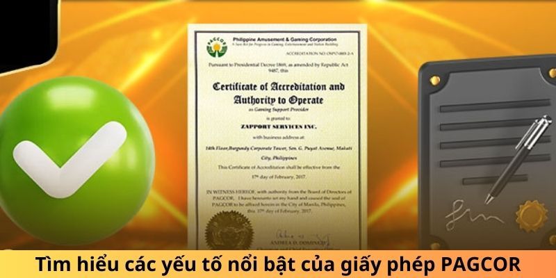 Chứng chỉ cam kết sự chất lượng và uy tín của N666